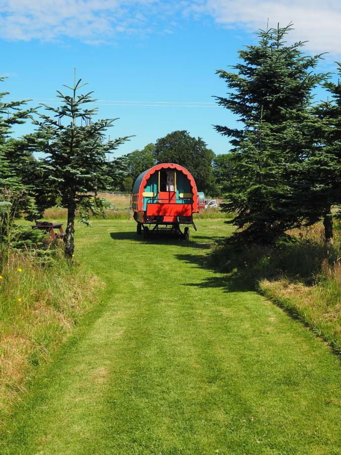 Luxury tent Clissmann Horse Caravans Glamping *
