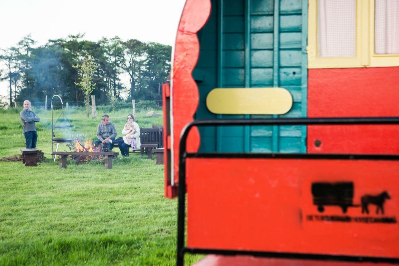 Luxury tent Clissmann Horse Caravans Glamping *